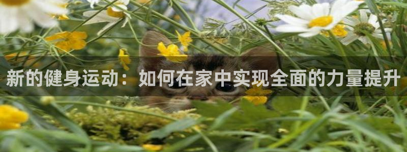 ug环球官网
