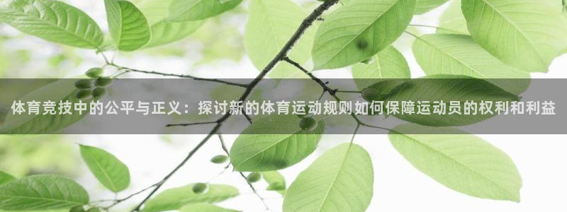 菲律宾ug环球官网：体育竞技中的公平与正义：探讨新的体育运动规则如何保障运动员的权利和利益