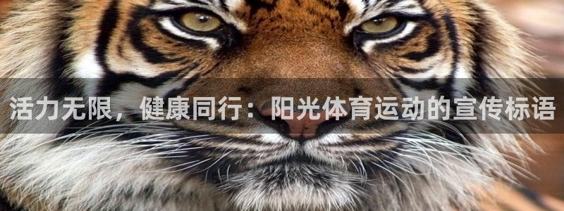 菲律宾ug环球官网：活力无限，健康同行：阳光体育运动的宣传标语
