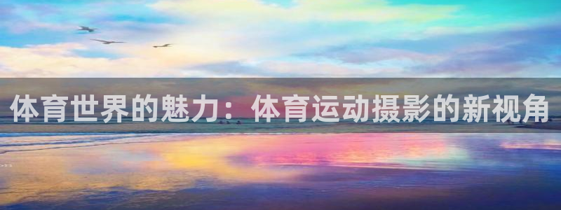 ug环球官网：体育世界的魅力：体育运动摄影的新视角
