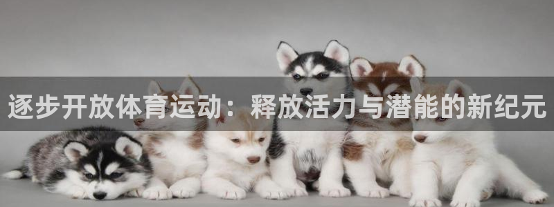 ug环球官网登录入口：逐步开放体育运动：释放活力与潜能的新纪元