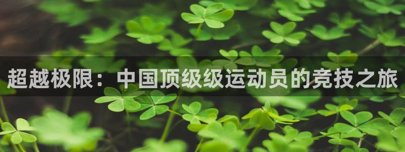 菲律宾ug环球官网：超越极限：中国顶级级运动员的竞技之旅